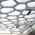 水立方的膜結構；圖片來源：北京奧運官方網站。
